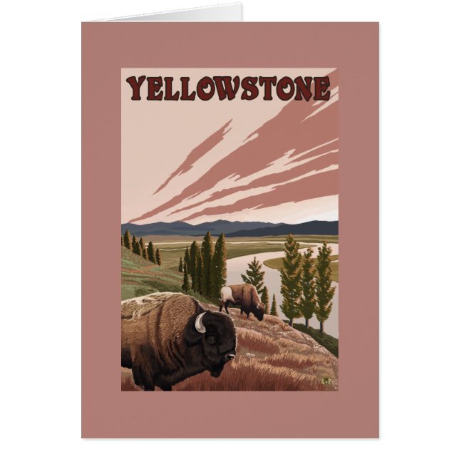 YellowstoneBison Scene (Vorne)