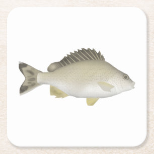 Yellowtail Trumpeter Rechteckiger Pappuntersetzer