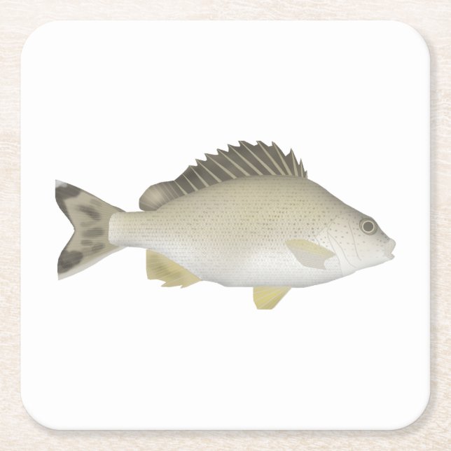 Yellowtail Trumpeter Rechteckiger Pappuntersetzer (Vorderseite)