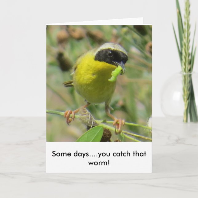 Yellowthroat-Grußkarte Karte (Vorderseite)