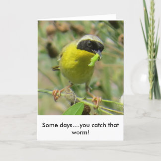 Yellowthroat-Grußkarte Karte