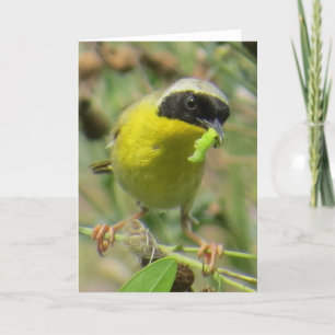 Yellowthroat-Grußkarte Karte