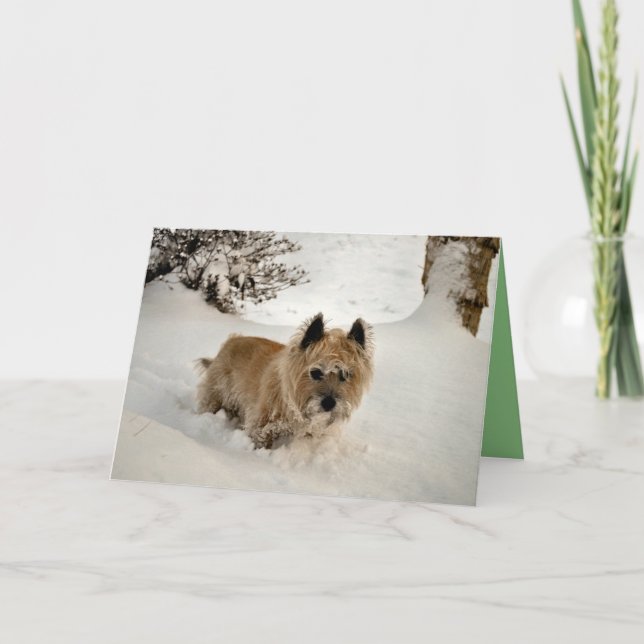 Yeti Karte (Vorderseite)