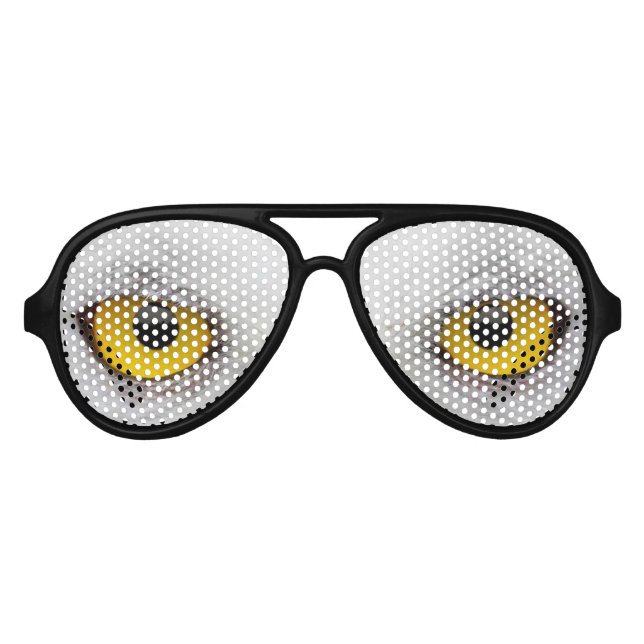 Yeux de chouette de lunettes de fête (Devant)