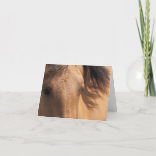 Yeux d'une carte de note Cheval Brown