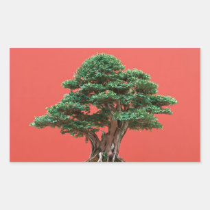 Yew bonsai rechteckiger aufkleber