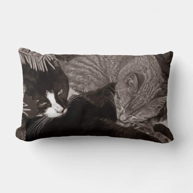 Yin Yang Katzen Lendenkissen (Vorderseite)
