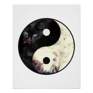 Yin Yang Katzen Mosaikposter Poster