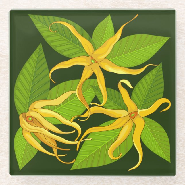 Ylang Ylang Exotic Scented Blume Glasuntersetzer (Vorderseite)