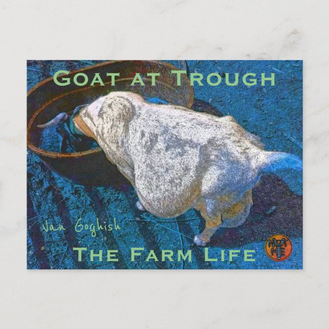 YNOTME VAN GOGHISH GOAT AT TROUGH2 POSTKARTE (Vorderseite)