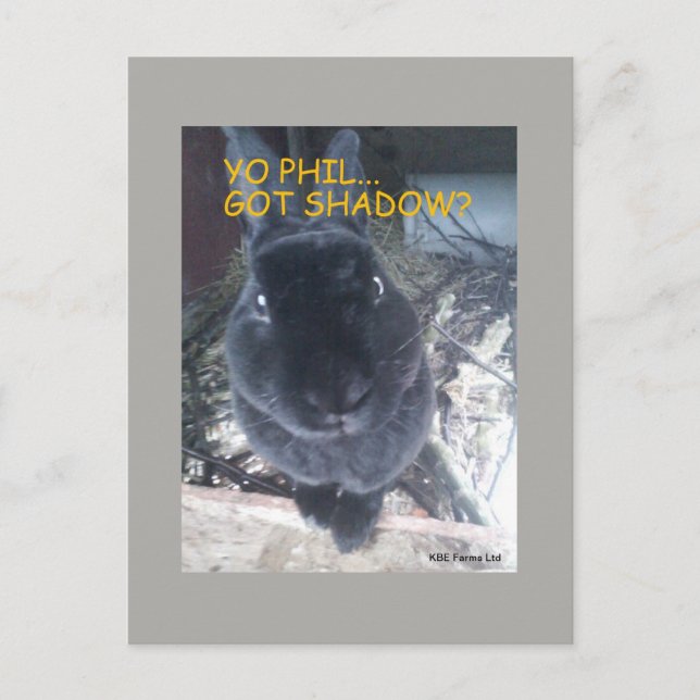 Yo Phil, Got Shadow - Postcard Postkarte (Vorderseite)