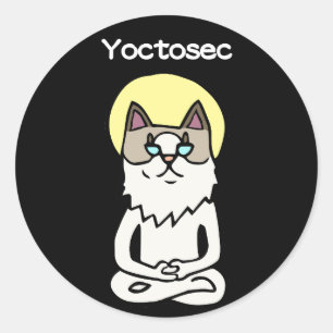 Yoctosec-Erleuchtung Cat Runder Aufkleber