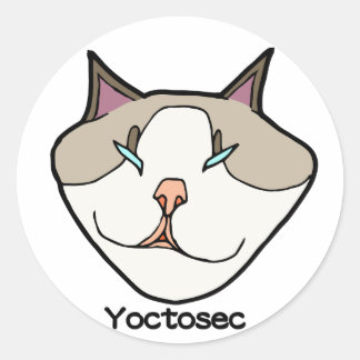 Yoctosec-Erleuchtung Cat Runder Aufkleber