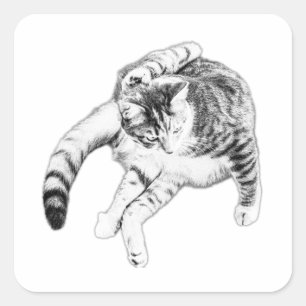 Yoga, aber machen Sie es zur Katze Quadratischer Aufkleber