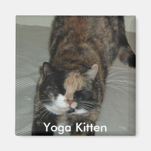 Yoga Calico Kitty Cat Magnet