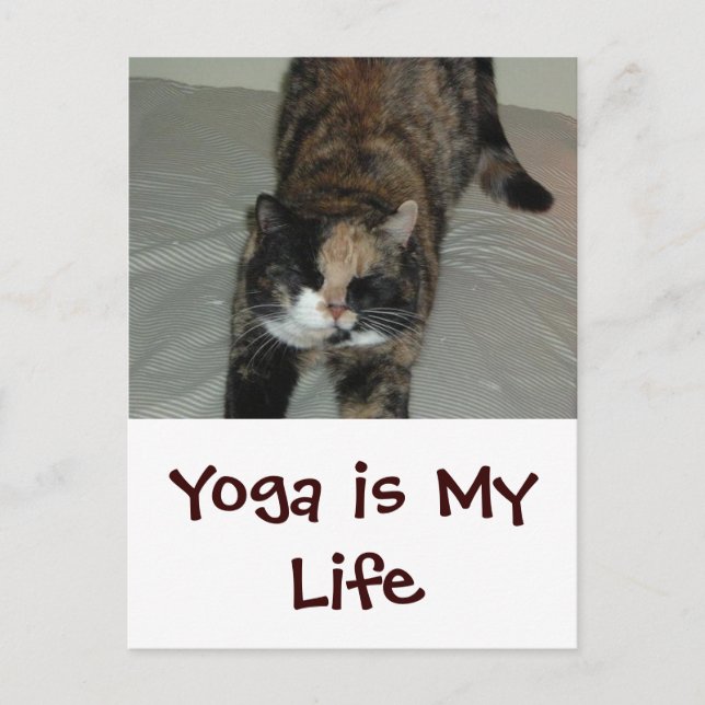 Yoga Cat Postkarte (Vorderseite)