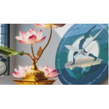 Yoga Instructor Meditation Pose Moon Flying Island