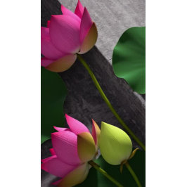 YOGA Pose Instructor Studio Open House ZEN Symbol Flyer