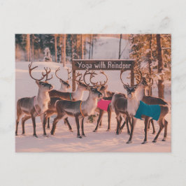 Yoga Reindeer Weihnachten Postkarte