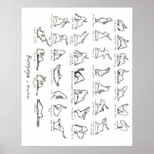Yoga-Sonnenbrille Poster