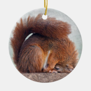 Yoga Squirrel Ornament