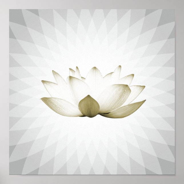 Yoga-Training für die White Lotus Massage Poster (Vorne)