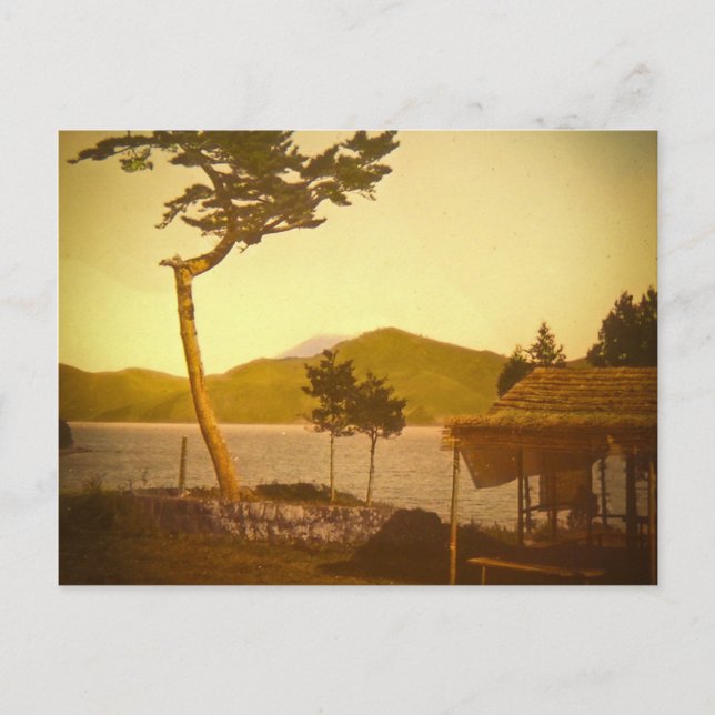 Yokohama Japan Park Vintage Berge Postkarte (Vorderseite)