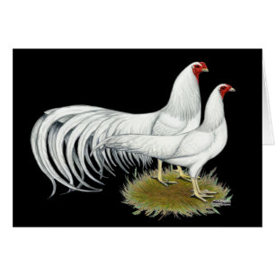 Yokohama : Paire blanche