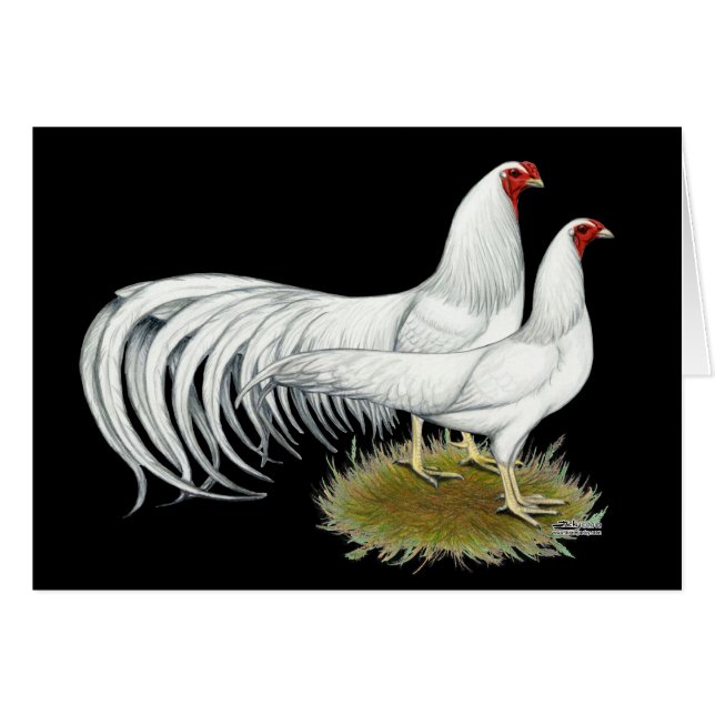 Yokohama : Paire blanche (Devant Horizontal)