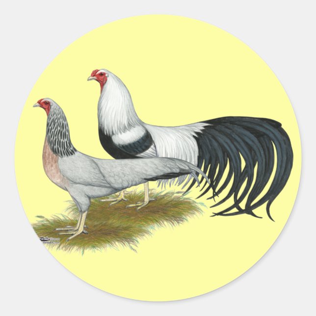 Yokohama: Silver Duckwing Pair Runder Aufkleber (Vorderseite)