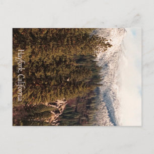 Yolla Bollies mit frischem Schnee... Postkarte