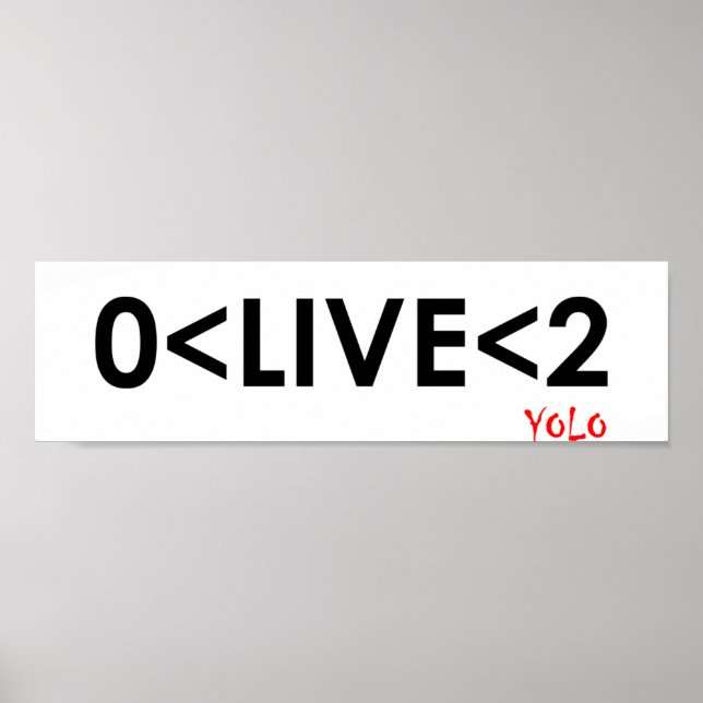 YOLO Math Funny Poster (Vorne)
