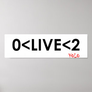 YOLO Math Funny Poster