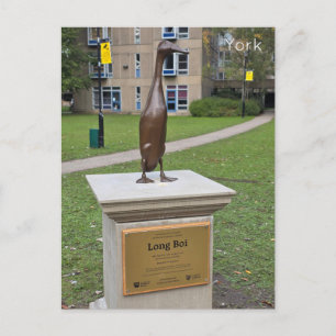 York Long Boi Postkarte