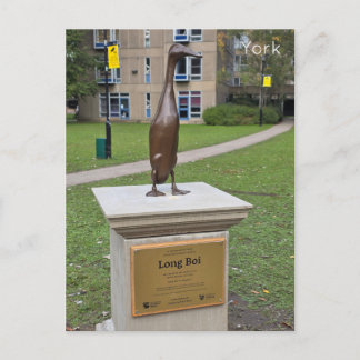 York Long Boi Postkarte