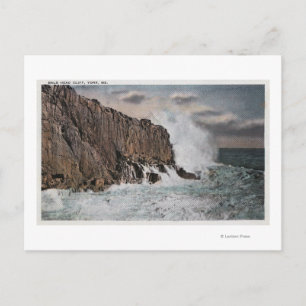 York, MaineView von Bald Head CliffYork, ME Postkarte