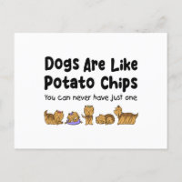 Yorki-Hunde sind wie Kartoffelchips, die man nie h