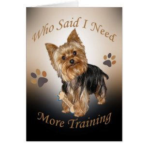 Yorkie a besoin former des cartes
