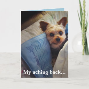 Yorkie auf der Heizungsauflage kundengerecht Dankeskarte