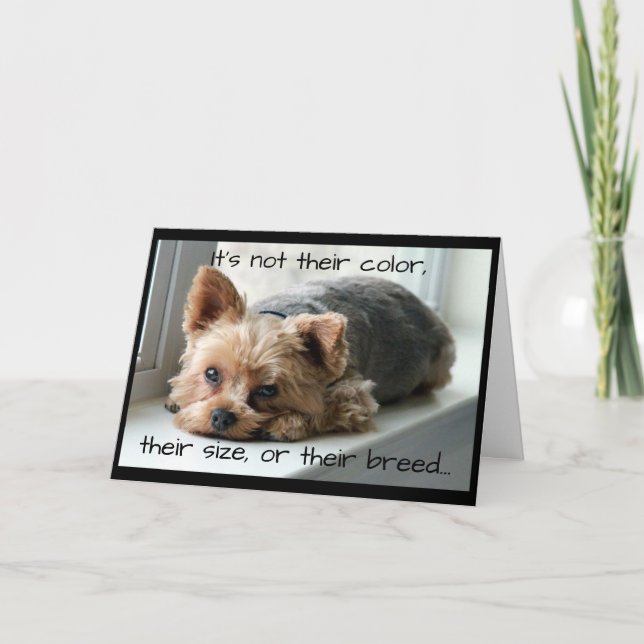 Yorkie auf Fenster-Schwellen-Haustier-Beileid Karte (Vorderseite)