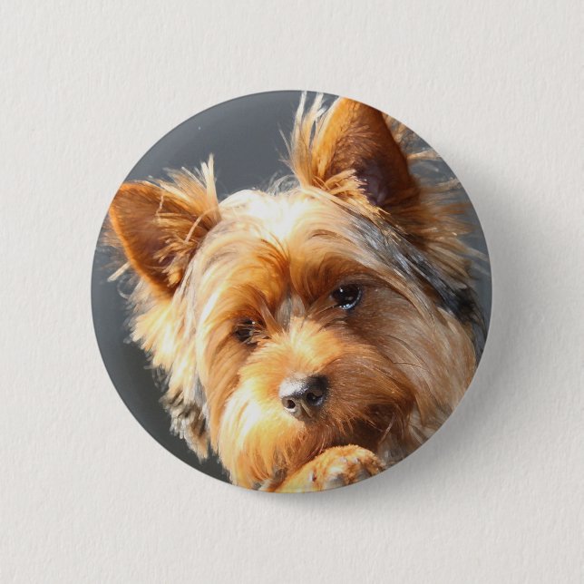 Yorkie Button (Vorderseite)