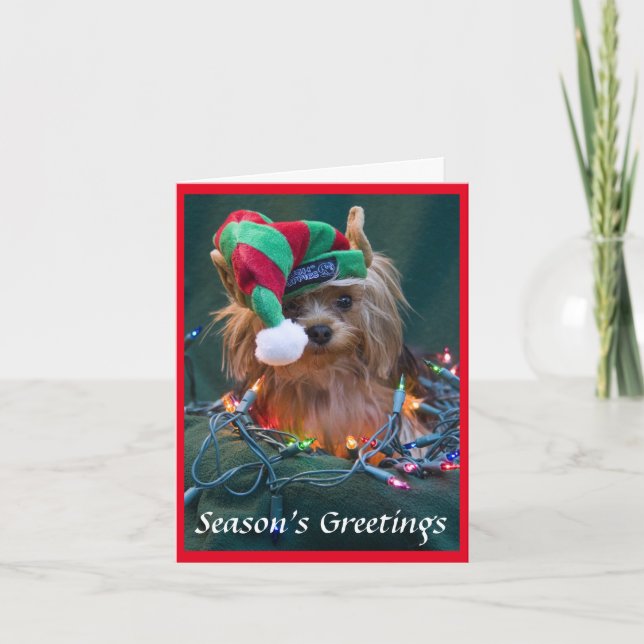 Yorkie Christmas Card Feiertagskarte (Vorderseite)