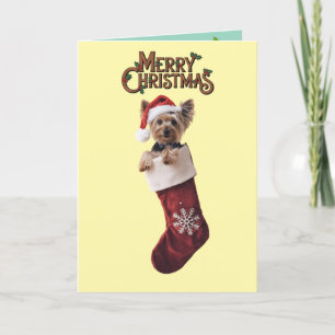 Yorkie Christmas Dankeskarte