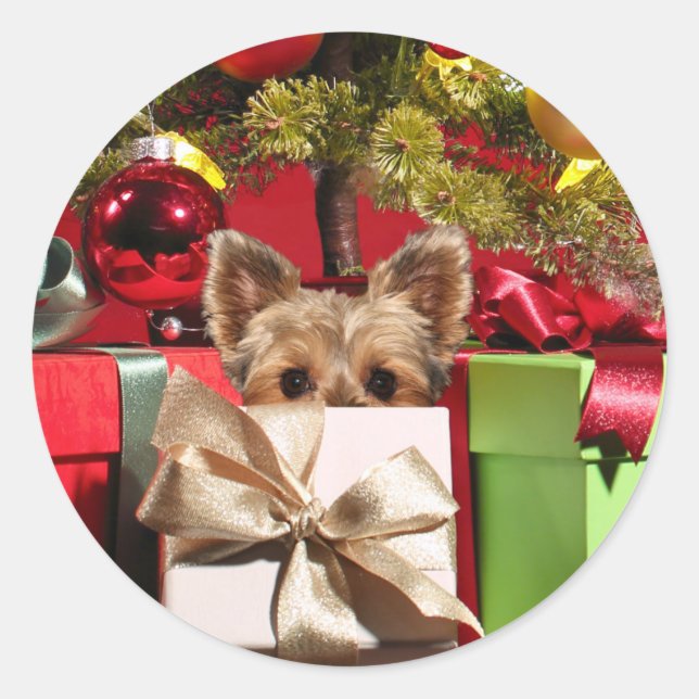 Yorkie Christmas Runder Aufkleber (Vorderseite)