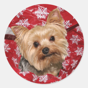 Yorkie Christmas Runder Aufkleber