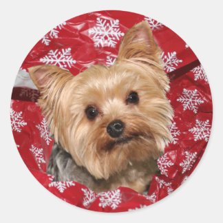 Yorkie Christmas Runder Aufkleber