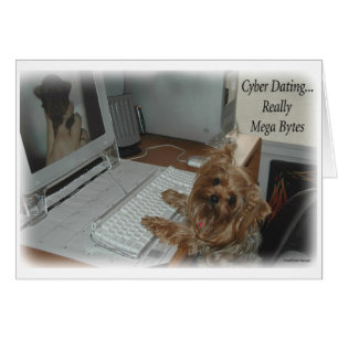 Yorkie Cyber Verabreden