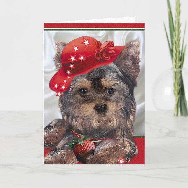 Yorkie dans les cartes rouges de casquette (Devant)