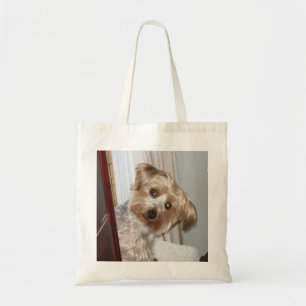 Yorkie, das um die Ecke späht Tragetasche