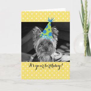 Yorkie Dog Birthday Card Karte